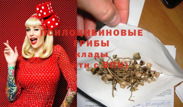 эйфоретик Кулебаки